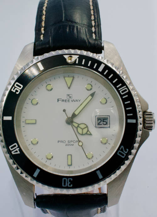 Freeway Stainless steel watch (Quartz)