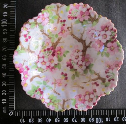 Shelley Dish Maytime Pattern Chintz