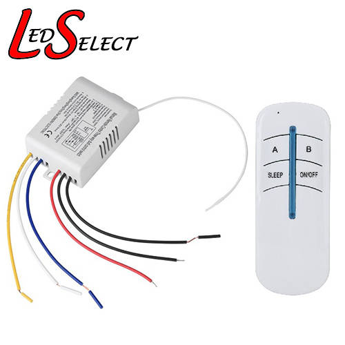 Controller 220V 2 Channel + RF Remote **LOCAL STOCK**