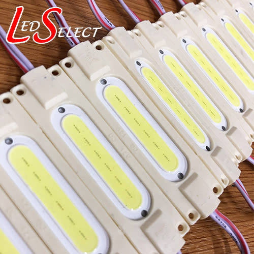Led Module 12V 2W Cool White (8-10000K) **LOCAL STOCK**