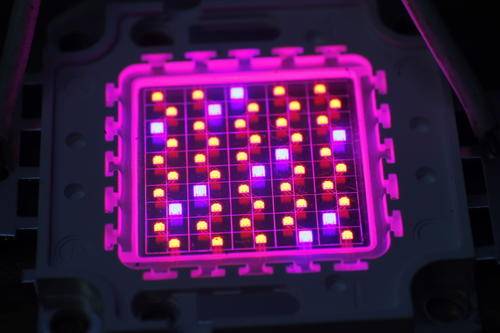 50W Led Grow Light Chip