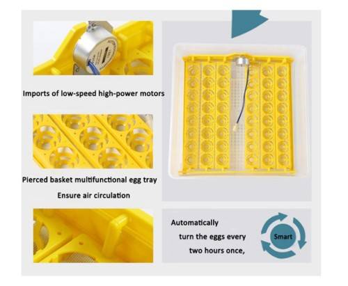 LOCAL STOCK - 48 Egg Fully Automatic Incubator