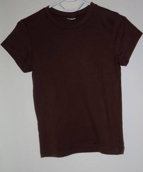 Womans size M Brown t shirt