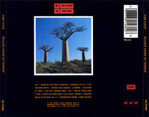 Pink Floyd - Delicate Sound Of Thunder (2xCD, Album)