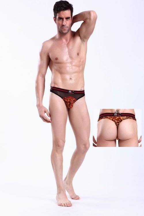 ZT026 Brown  MENS UNDERWEAR