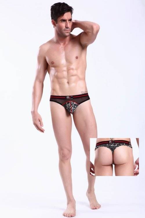 ZT026 Grey  MENS UNDERWEAR