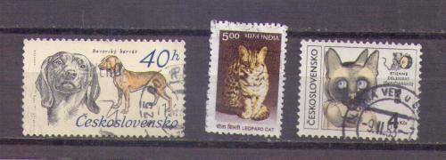 Worldwide. 3 x Cat and dog stamps. Used very slightly hinged