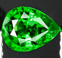 ** 0.46cts Travorite Garnet - Intense Chrome Green**