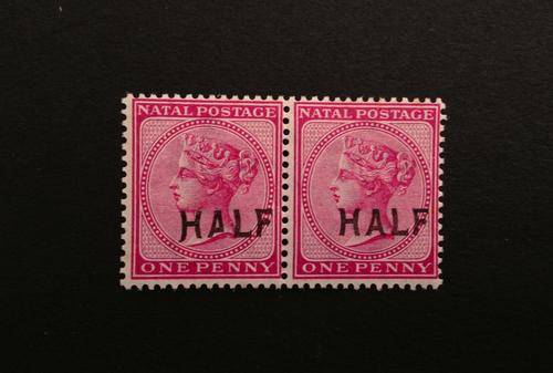 Natal - 1895 - 1d Pair with 'HALF' O/P one stamp with 'VARIETY' - Value R265++