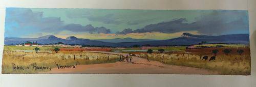 Pieter van Heerden ...r1 start......!!!!!!