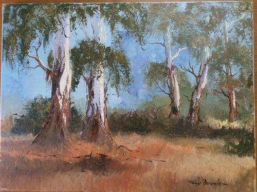 TONY DURRHEIM - .medium size.... R1 NO RESERVE....!!!!