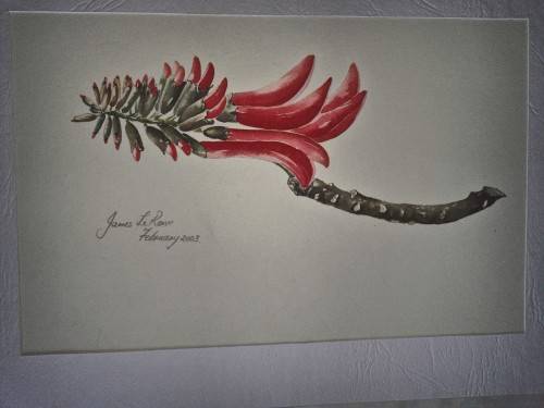 Original Water Colour Painting