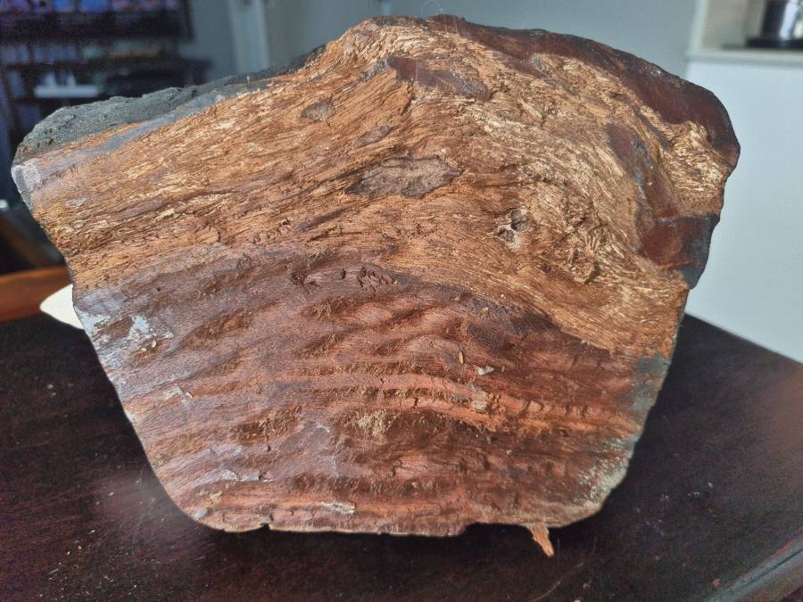 INVESTMENT ART !!!    WENDY VON VARENDORFF Sculpture