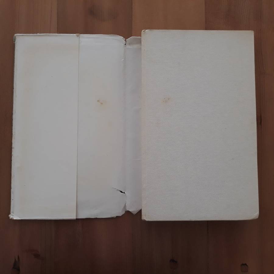 Orgie  (Andre P Brink)