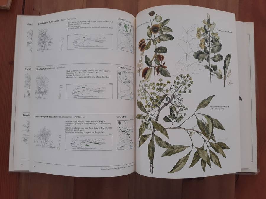 Trees & Shrubs of the Witwatersrand Magaliesberg & Pilanesberg