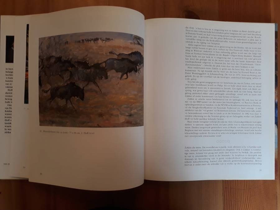 Die Kuns Van Zakkie Eloff (D.M. Joubert)