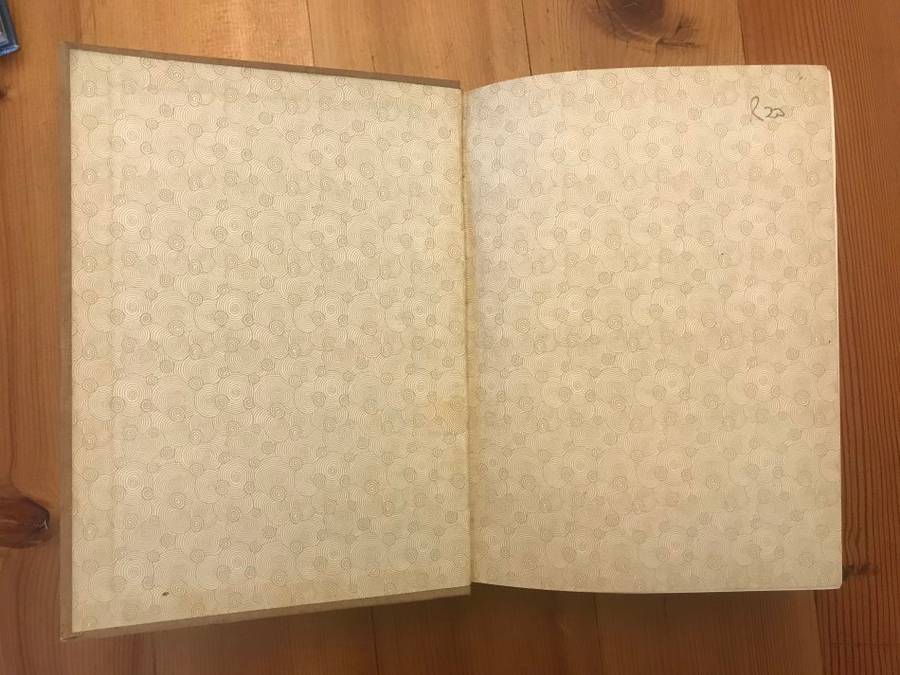 Tant Alie van Transvaal - Die Dagboek van Alie Badenhorst