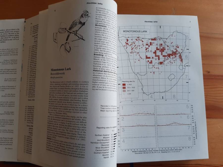 The Atlas of Southern African Birds Vol 2: Passerines