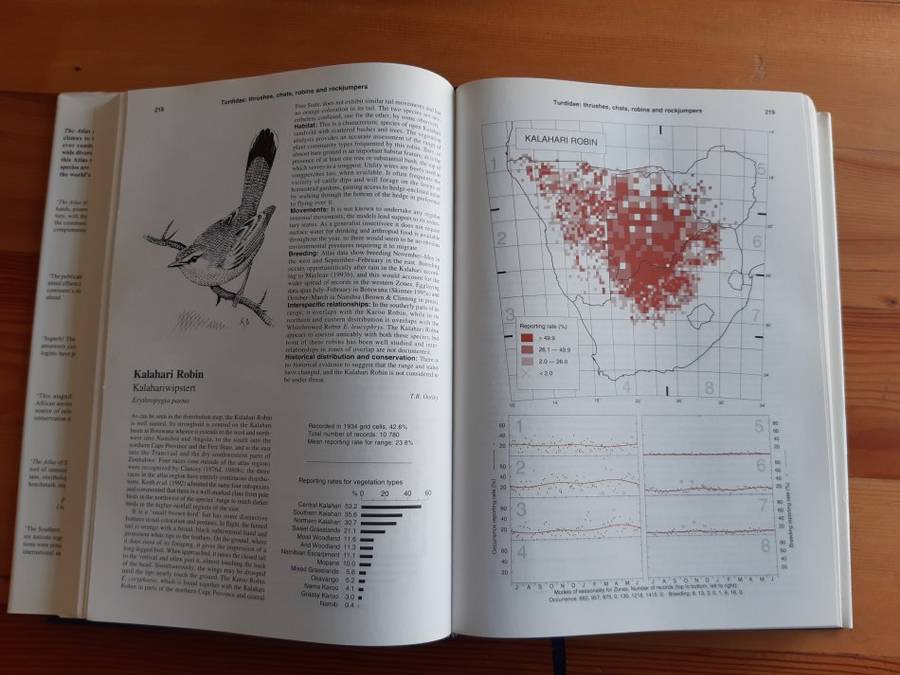 The Atlas of Southern African Birds Vol 2: Passerines