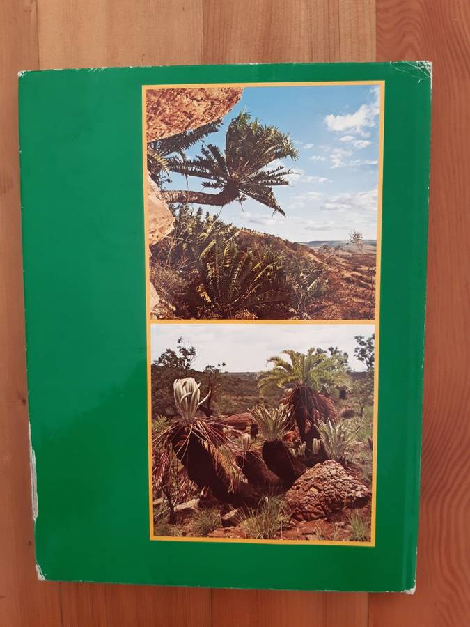 Cycads of South Africa - Cynthia Giddy