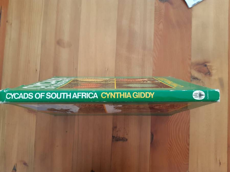 Cycads of South Africa - Cynthia Giddy