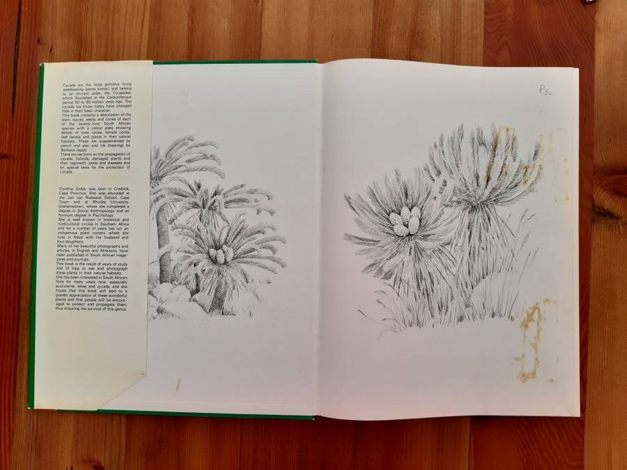 Cycads of South Africa - Cynthia Giddy
