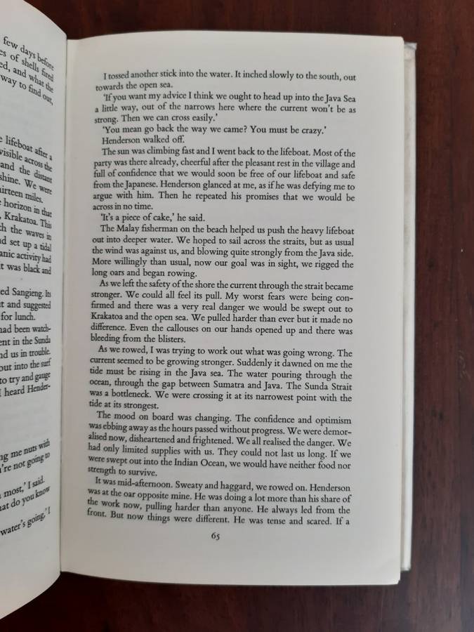 Pigeon's Luck - Tretchikoff