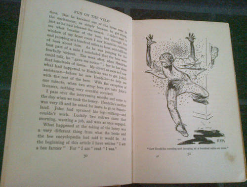 Fun on the veld. Flemming, Leonard & J. H. Amshewitz (illustrator). J. C. Smuts (foreword).