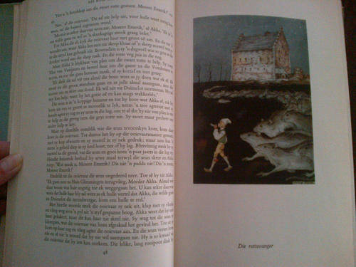 Niels Holgersson se Wonderbaarlike Reis (Selma Lagerlof)