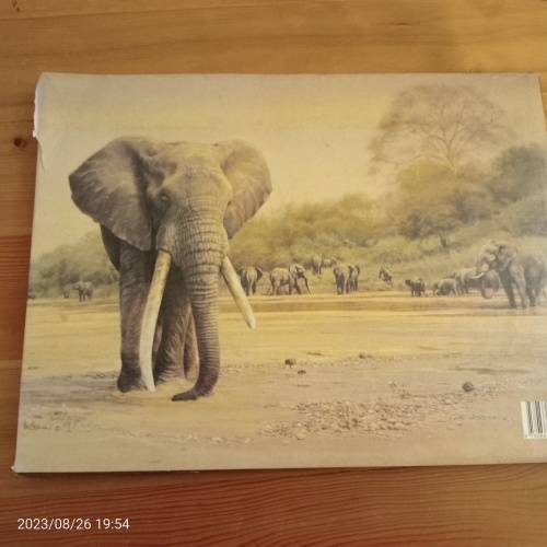 *SALE* Elephants of Africa