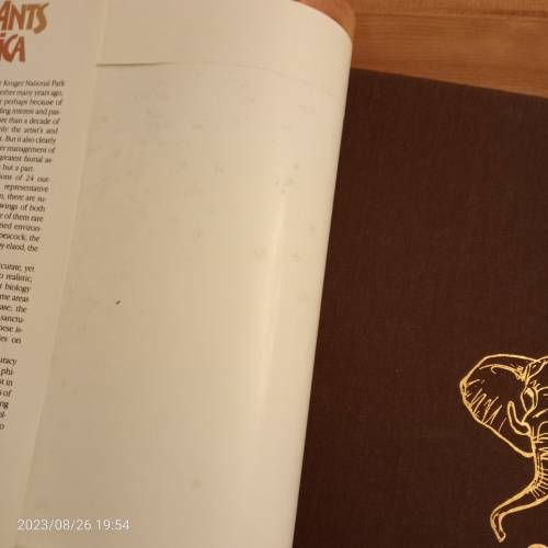 *SALE* Elephants of Africa