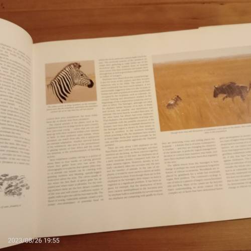 *SALE* Elephants of Africa