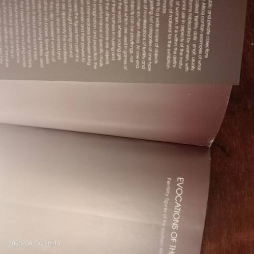 Evocations of the Child: Fertility Figures of the Southern African Region