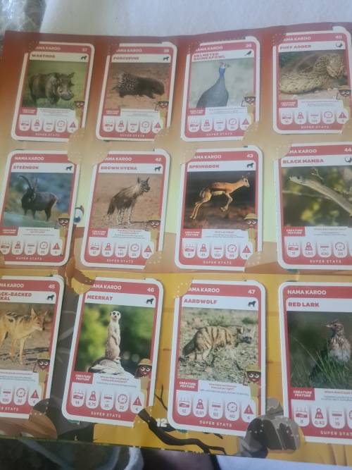 COLLECTORS ALBUM(SA SUPER ANIMALS)WITH COLLECTABLE CARDS-COMPLETED NO.1 TO 108