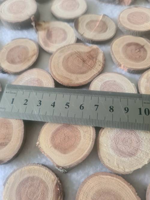 WOOD SLICES MINIATURES (CENTRE PIECE)OVER 50 PIECES