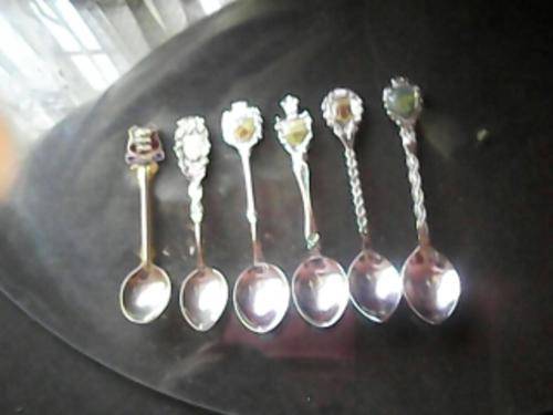 6 PIECE COLLECTORS SPOON