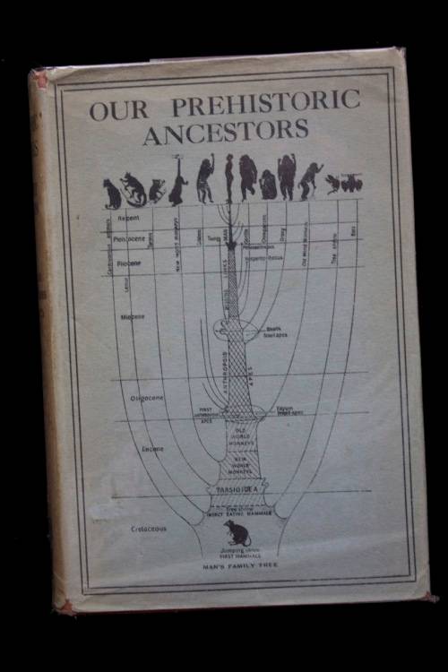OUR PREHISTORIC ANCESTORS by DOROTHY DAVISON (1926)