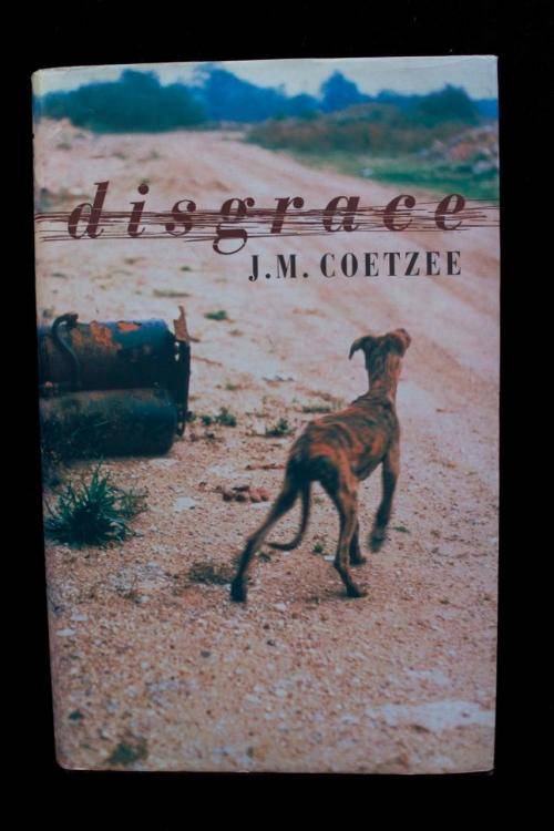 Disgrace by J.M. Coetzee - true first edition 1999 JM Coetzee