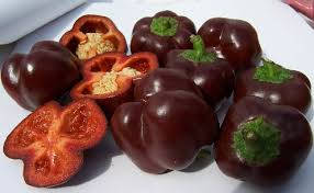 SALE 20% OFF TIL XMAS!! Pepper seeds - Mini Chocolate bells 10 seeds - New!! Sweet