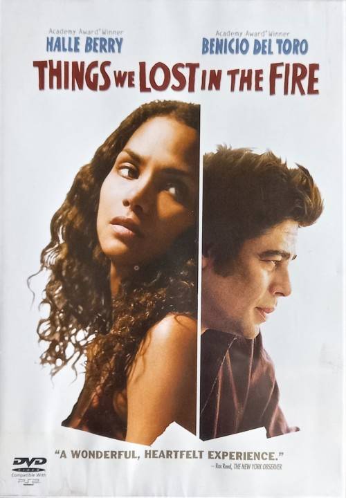 Things We Lost in the Fire (DVD)