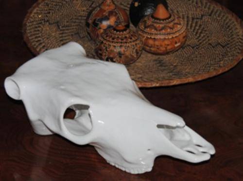 Porcelain Cow Skull