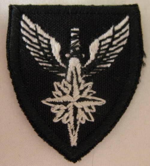 1 SWA RECCE REGIMENT TRACKSUIT PATCH.  REPRO AS NO CLOTH VERSIONS WERE EVER MADE.