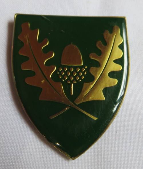 REGT. UNIVERSITY STELLENBOSCH FLASH- 3 PINS