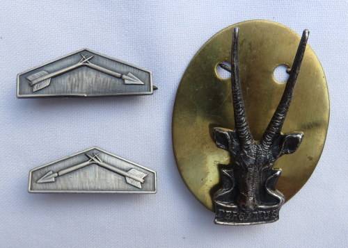 SWA MEDICAL SERVICES CAP & COLLARS - PINS + LUGS COMPLETE