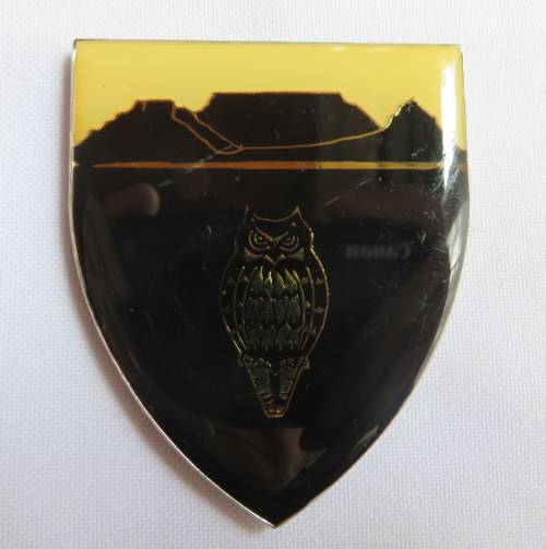 SA MILITARY INTELLIGENCE WESTERN CAPE FLASH- 3 PINS