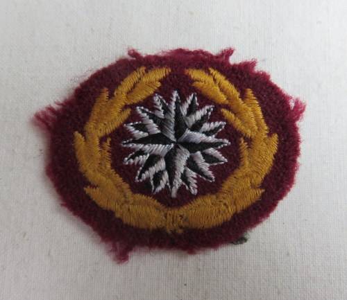 RECCE FIRST ISSUE BERET BADGE 1985-SMALL WITH COMPASS COLOURS REVERSED-GUARANTEED ORIGINAL-PAGE 156
