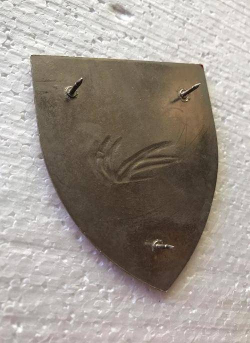REGIMENT CONGELLA FLASH- ORIGINAL- 3 PINS