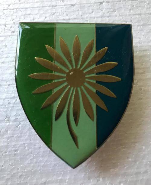 NORTHERN TRANSVAAL SIGNAL UNIT FLASH-ORIGINAL- 3 PINS