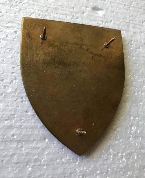 REGIMENT PRESIDENT KRUGER (TVL) FLASH- 3 PINS