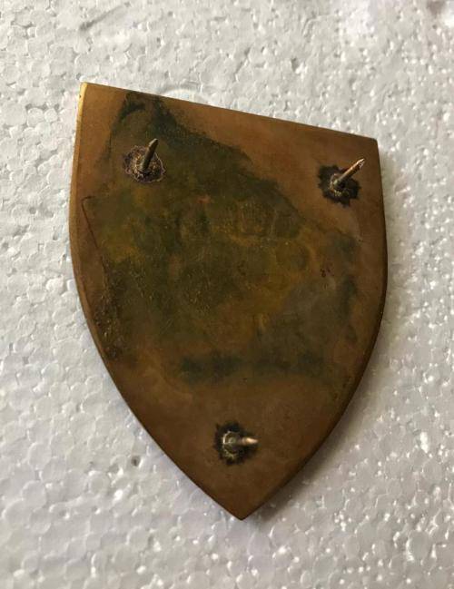 44 PARA BRIGADE PROPOSED FLASH- NEVER USED- 3 PINS